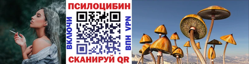 Псилоцибиновые грибы GOLDEN TEACHER  Купить где  Лесозаводск 